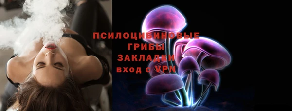 кокс Арсеньев