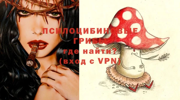 кокс Арсеньев